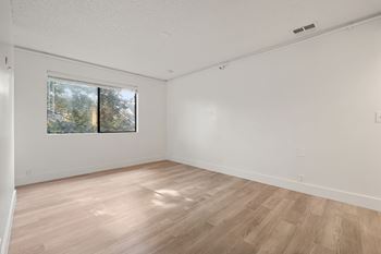 Natural light in room and window